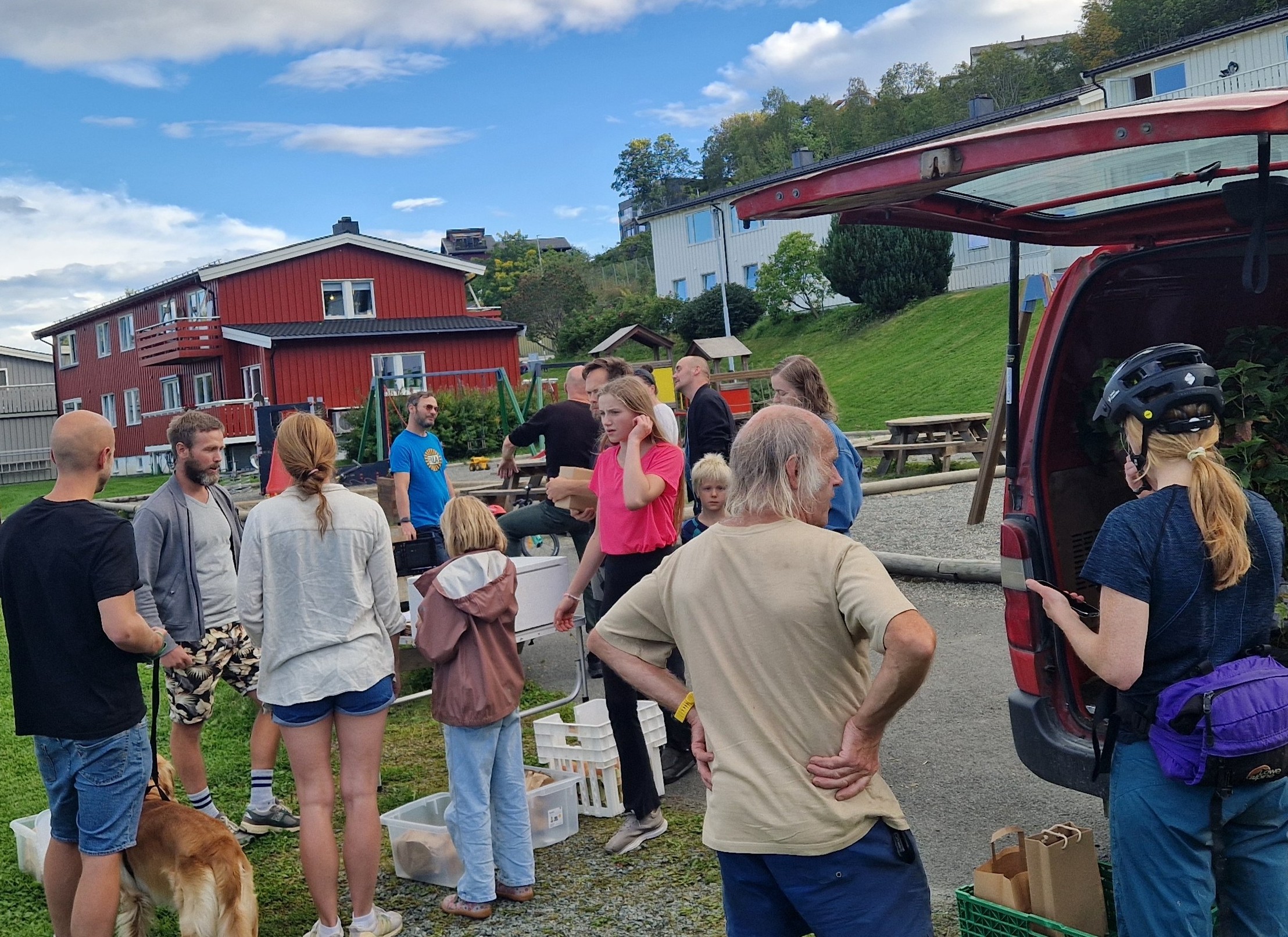 Naboer samles rundt varebil for å hente ferske varer fra lokal gård